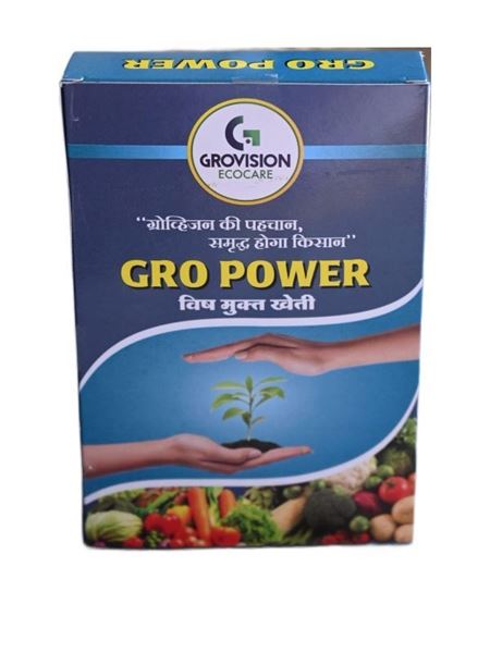 Picture of Gro Power (100 GM)