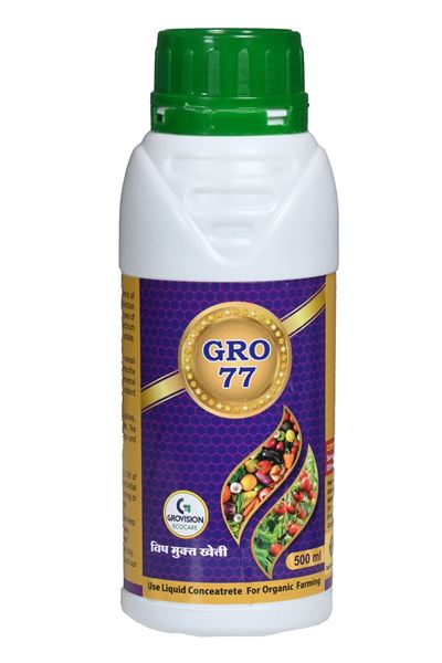 Picture of GRO77  500 ML